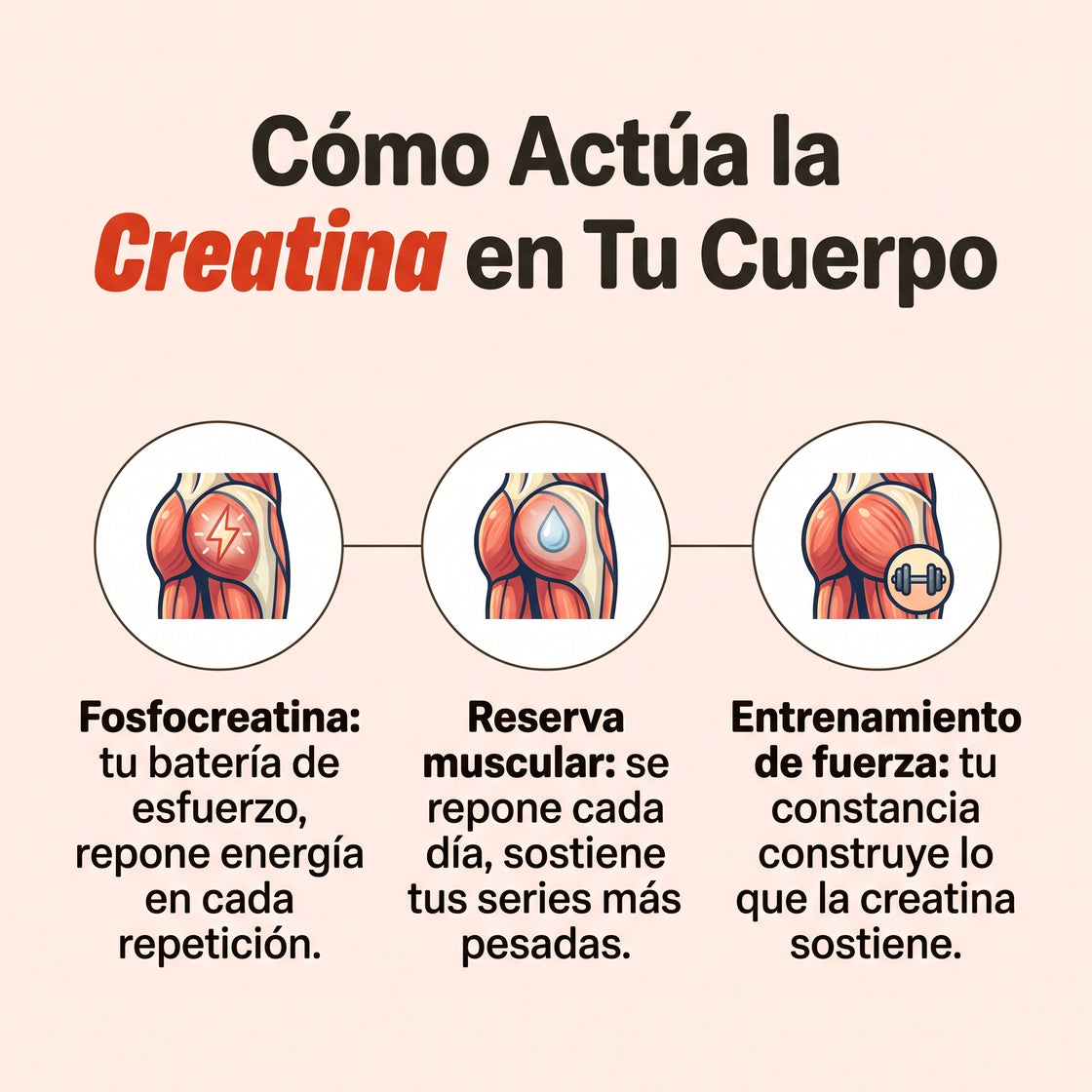 🍑 Gomitas de Creatina Youpiter®